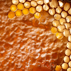 Image showing Macro photo of wax honeycombs with organic honey. Healthy product. Top view