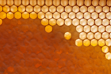 Image showing Fresh organic honey in wax comb. Macro photo of organic product. Flat lay