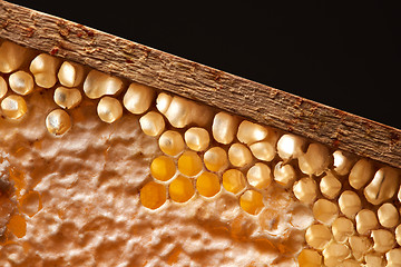 Image showing Organic honey in wax comb on a black background with copy space. Macro photo