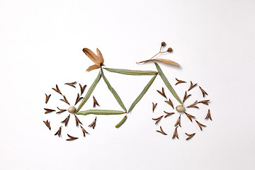 Image showing Pattern of leaves and pine seeds in the form of a bicycle on a gray background with copy space. Healthy lifestyle concept. Flat lay