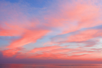 Image showing View of the blue-pink sky with clouds at sunset in the background of the sea. Beautiful natural layout