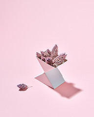 Image showing Cardboard box triangular with cones presented on a pink background with a shadow and copy space. Autumn composition