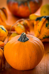 Image showing Fall Still Life with pumpkins and gourds 