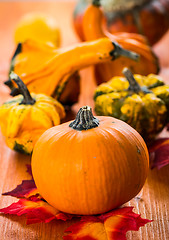 Image showing Fall Still Life with pumpkins and gourds 