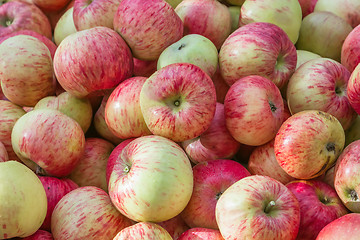 Image showing Red and Yellow Fresh Ripe Apples Background