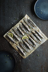 Image showing Sardines fish