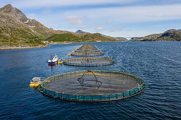 Image showing Farm salmon fishing in Norway