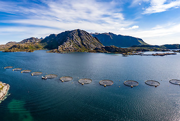 Image showing Farm salmon fishing in Norway