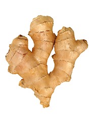 Image showing Ginger root on white