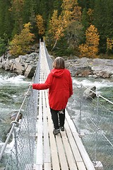 Image showing Woman walking on a suspension bridge