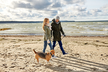 Image showing happy couple with beagle dog on autumn beach