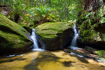 Image showing Lush green foliage and twin waterfalls