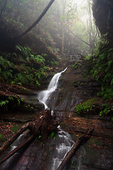 Image showing Mountain stream and waterfall in Blue Mountains