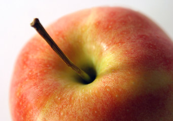 Image showing apple