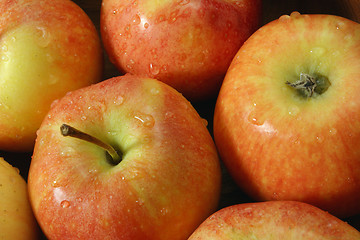 Image showing apples