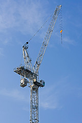 Image showing White Crane