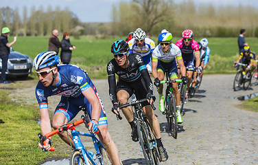 Image showing The Cyclist Salvatore Puccio - Paris Roubaix 2016