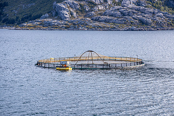 Image showing Farm salmon fishing in Norway