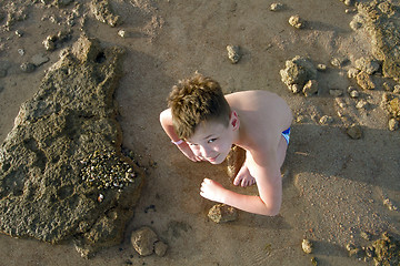 Image showing  Boy collecting seashells on the beach