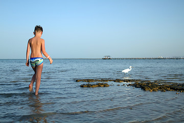 Image showing Boy and stork