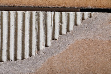 Image showing Torn piece of cardboard