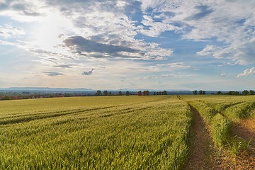 Image showing Green Field with Trees