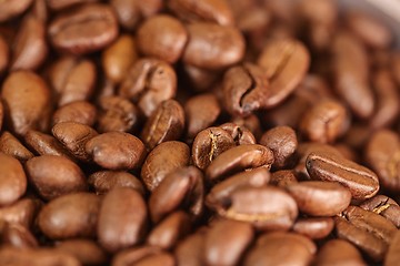 Image showing Coffee beans closeup