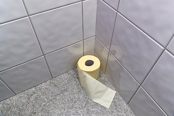 Image showing Toilet paper in the corner