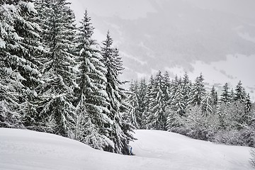 Image showing Winter Snowy Mountain Landscape