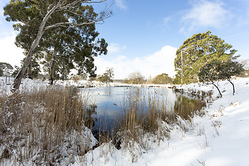 Image showing Snow covered rural field with watering hole 