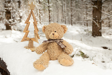 Image showing Scruffy bear and rustic Christmas tree in snow