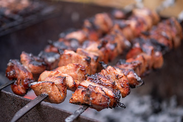 Image showing grilled pork meat kebab skewers