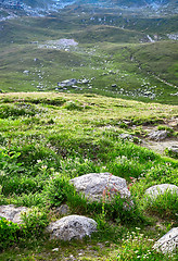 Image showing Swiss Alps landscape