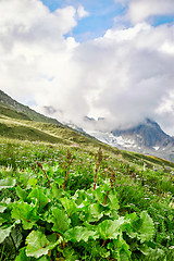 Image showing Swiss Alps landscape