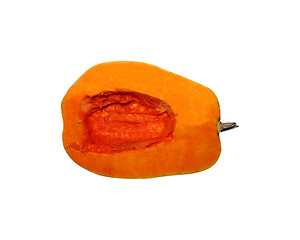 Image showing pumpkin is yellow