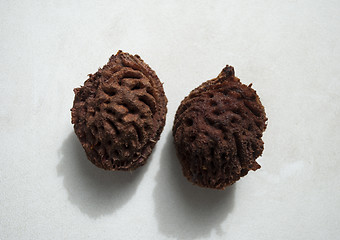 Image showing two peach pits