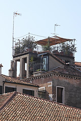 Image showing Rooftop Garden Venice