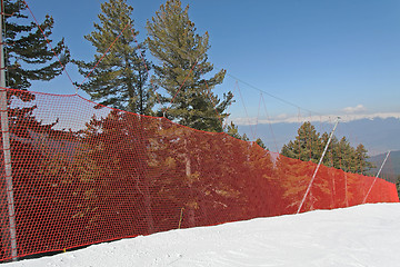 Image showing Ski Safety Net