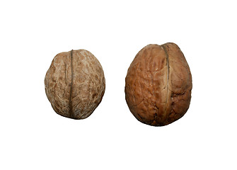 Image showing two walnuts