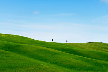 Image showing Beautiful spring minimalistic landscape with green hills in Tuscany