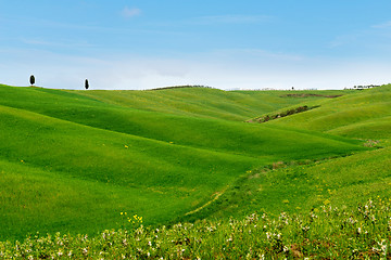 Image showing Beautiful spring minimalistic landscape with green hills in Tuscany