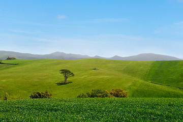 Image showing Beautiful spring landscape in Tuscany