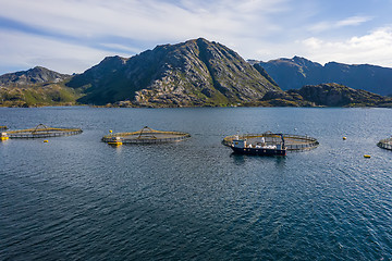 Image showing Farm salmon fishing in Norway