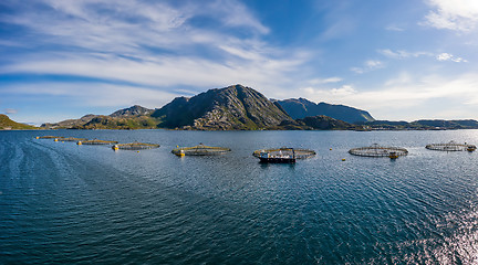 Image showing Farm salmon fishing in Norway