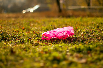 Image showing Plastic garbage packet on the green grass