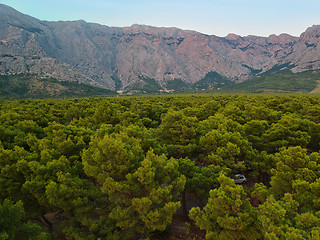 Image showing An aerial view from drone to the trees and mountain