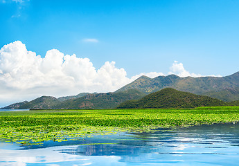 Image showing Skadar lake park