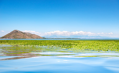 Image showing Skadar lake national park