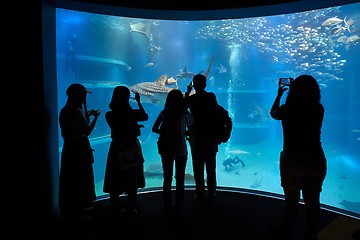 Image showing Marine aquarium with visitor silhouettes