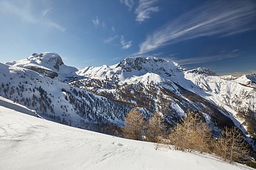 Image showing Winter Mountain Forest